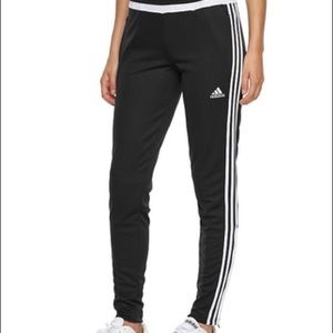 Climacool adidas pants